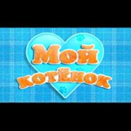 Мой котёнок Мой котёнок