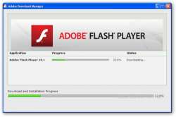 adobe flash player бесплатно и без регистрации