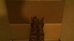 скачать игра Still It Runs торрент